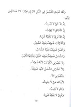 Load image into Gallery viewer, Qisas an-Nabiyeen Stories of the Prophets in ARABIC
